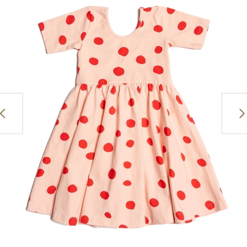 Alice + Ames The Ballet Dress